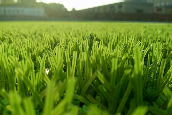 人工足球草坪运动场地的草丝类型 